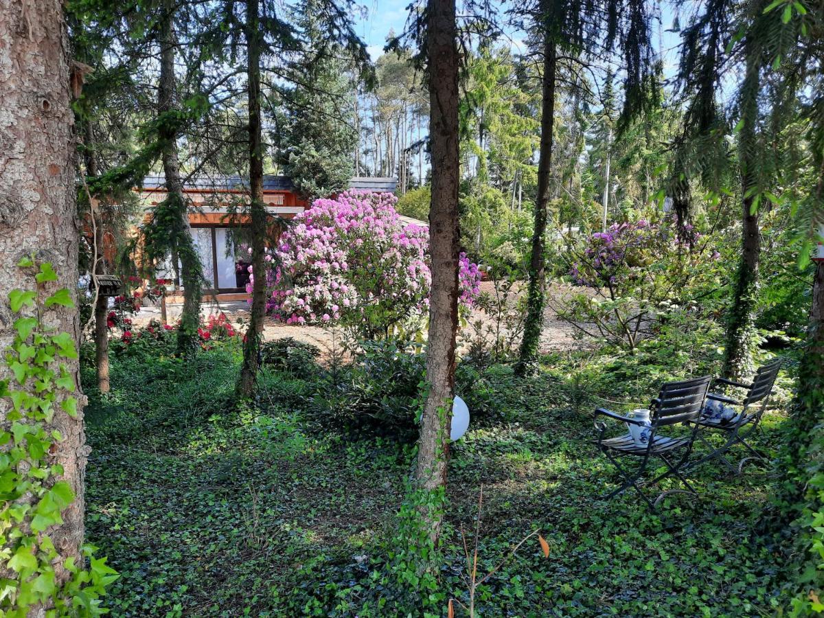 Ferienhaus Leon Mit Sauna Rehburg-Loccum Buitenkant foto