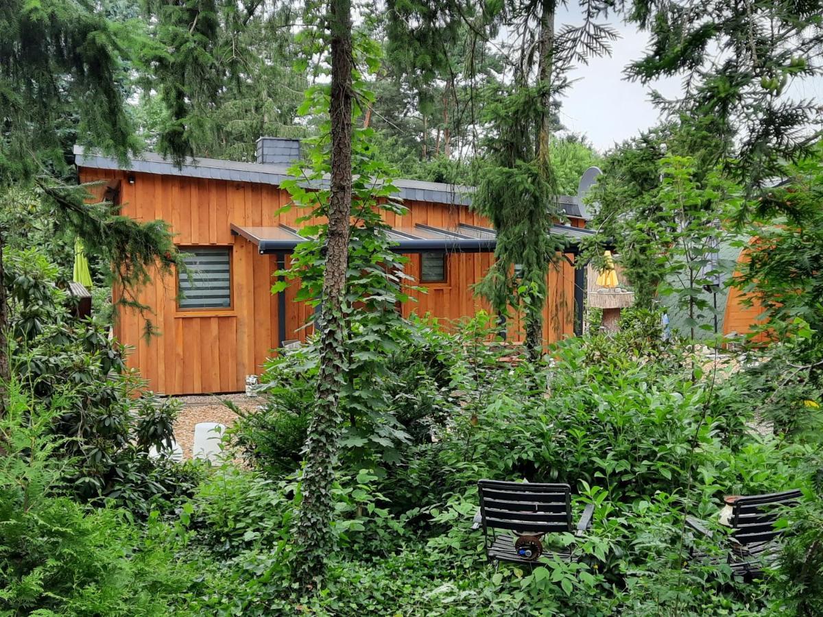 Ferienhaus Leon Mit Sauna Rehburg-Loccum Buitenkant foto