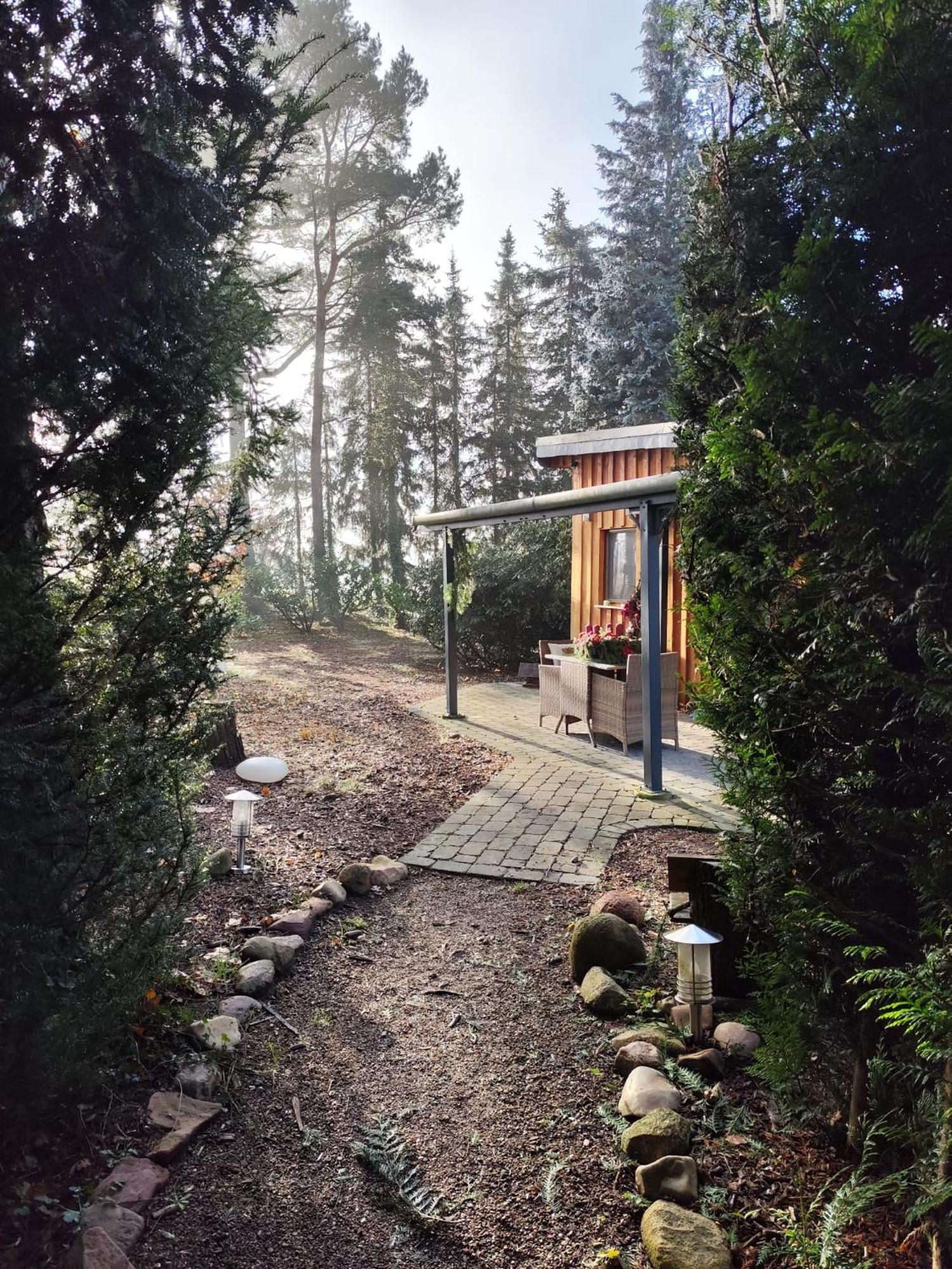 Ferienhaus Leon Mit Sauna Rehburg-Loccum Buitenkant foto